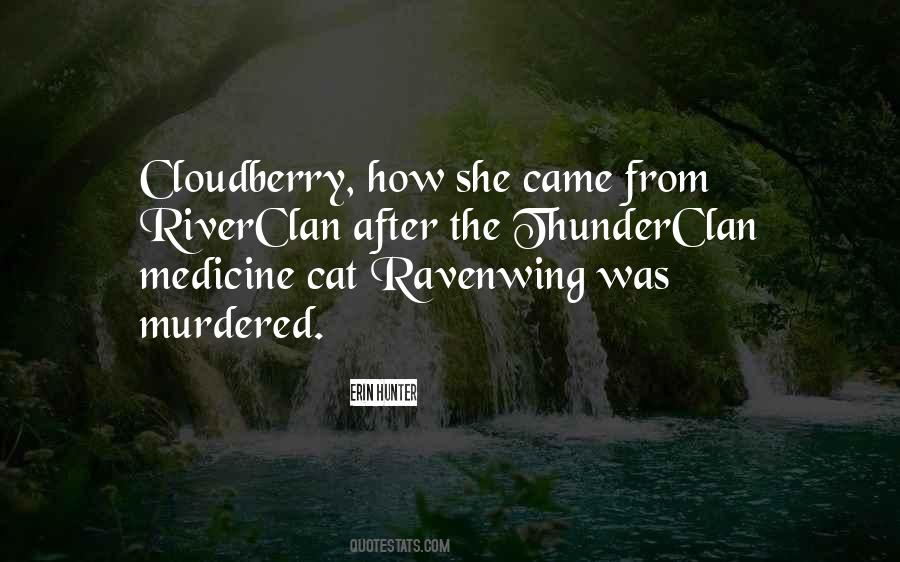 Medicine Cat Quotes #613569