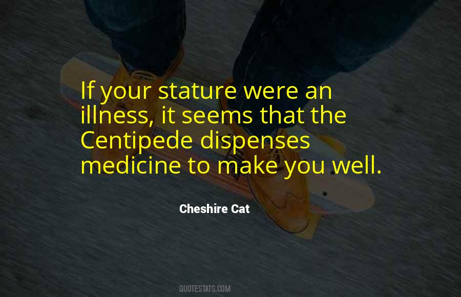 Medicine Cat Quotes #762322