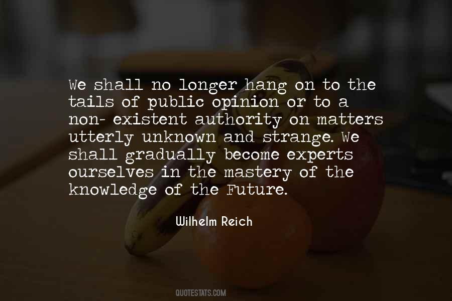 Quotes About The Future Unknown #188775