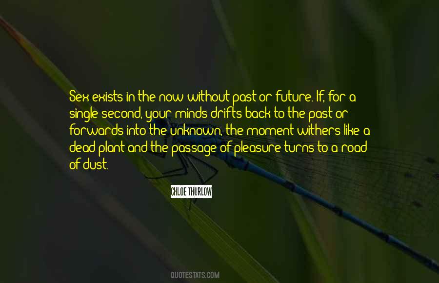 Quotes About The Future Unknown #615644