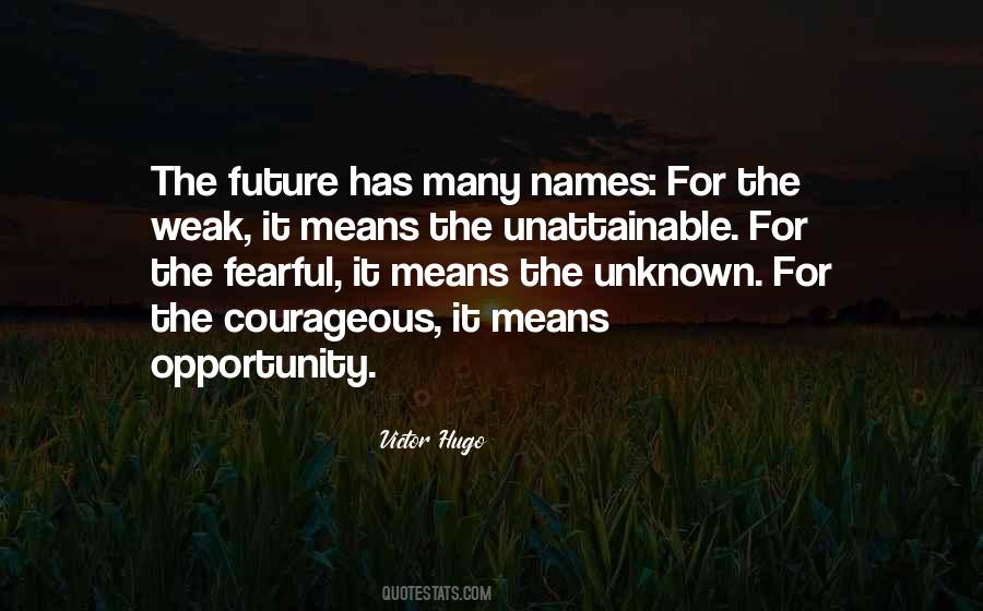 Quotes About The Future Unknown #832311