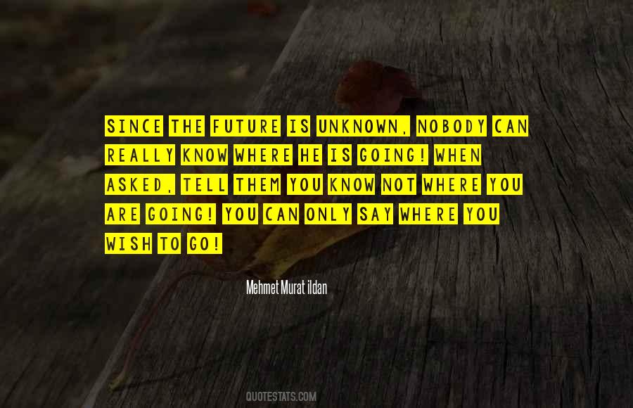 Quotes About The Future Unknown #932586