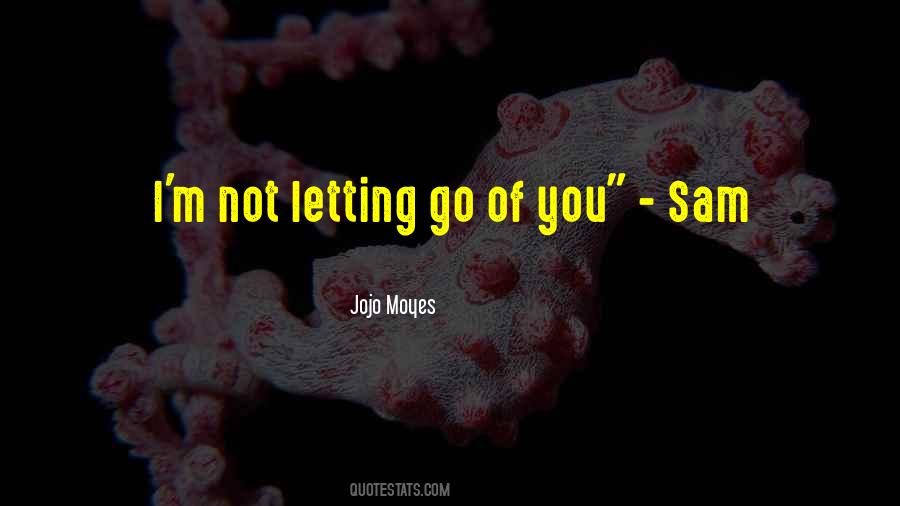 Quotes About Not Letting Go #158642