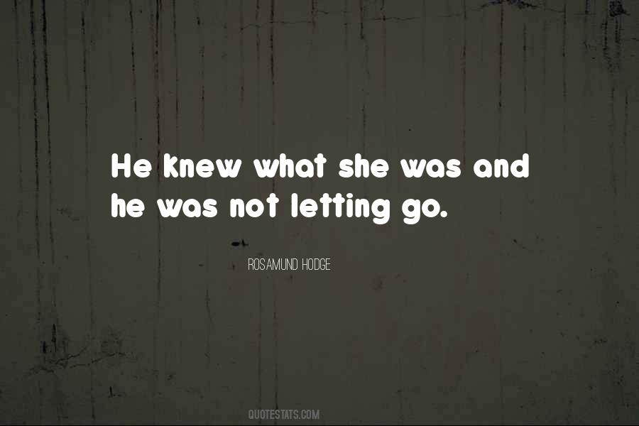 Quotes About Not Letting Go #698531