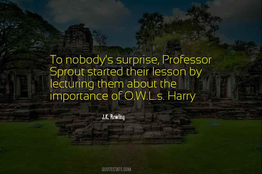 Quotes About Lecturing #396214