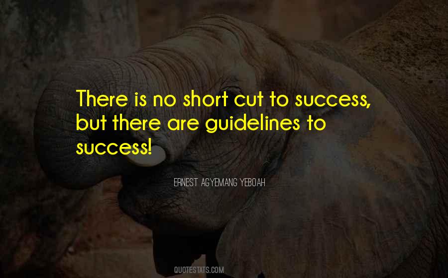 The Journey To Success Quotes #675804
