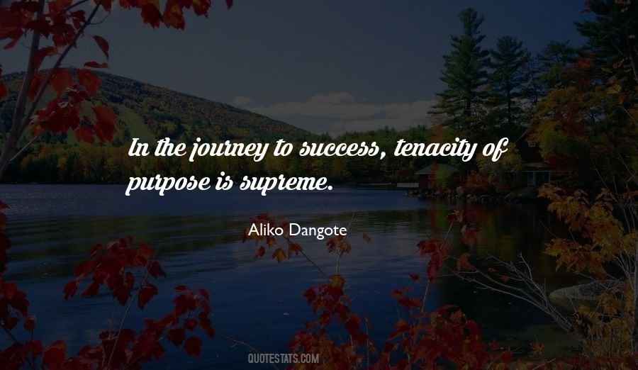 The Journey To Success Quotes #738853