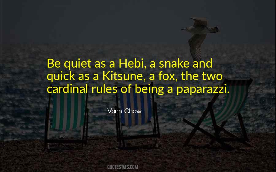 Quotes About Paparazzi #114200