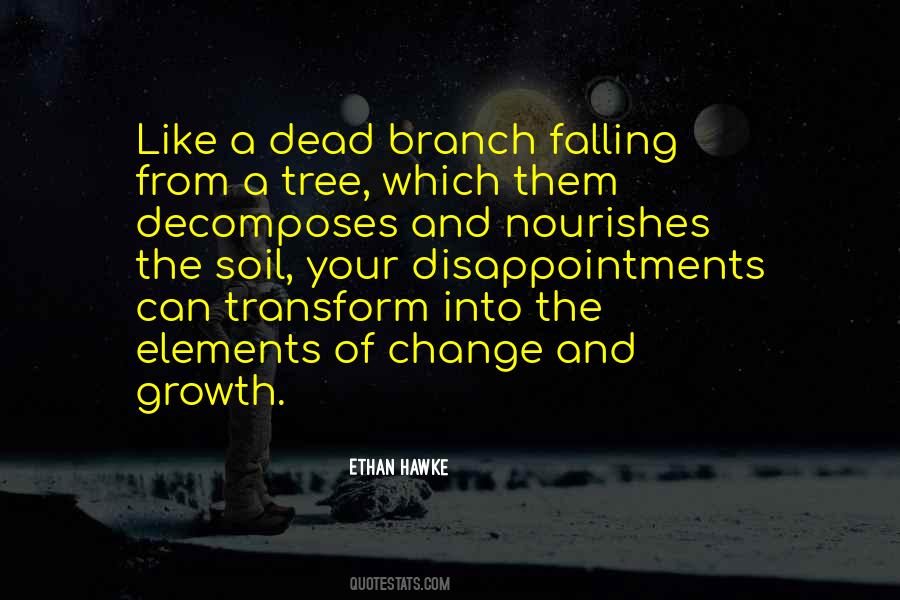Quotes About A Tree Branch #1333010