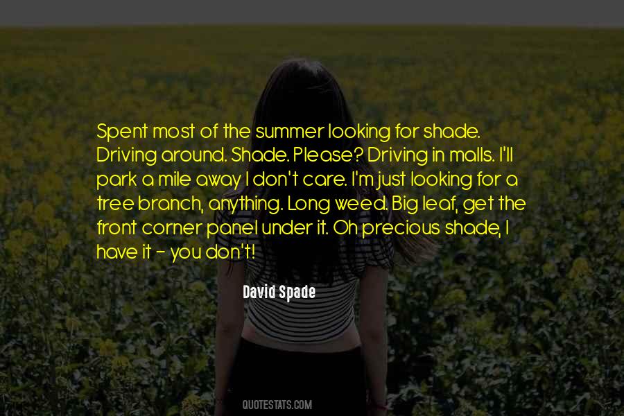 Quotes About A Tree Branch #1497564