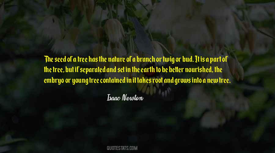 Quotes About A Tree Branch #50636