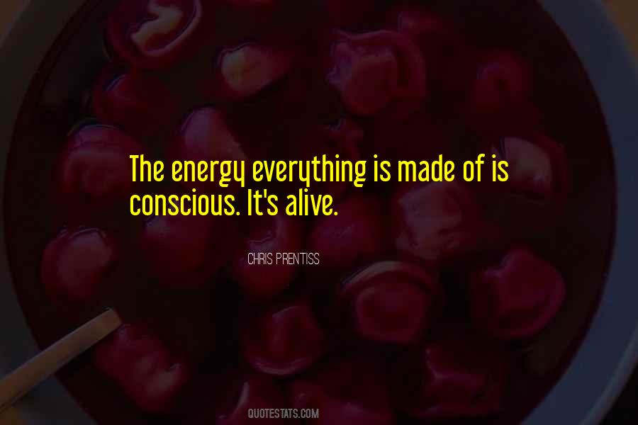 Everything Is Energy Quotes #527580