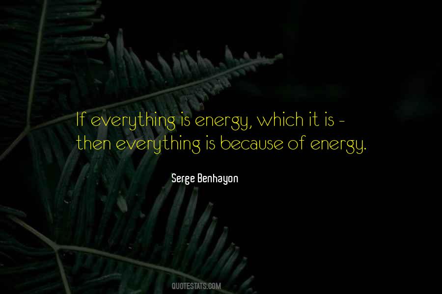 Everything Is Energy Quotes #833142