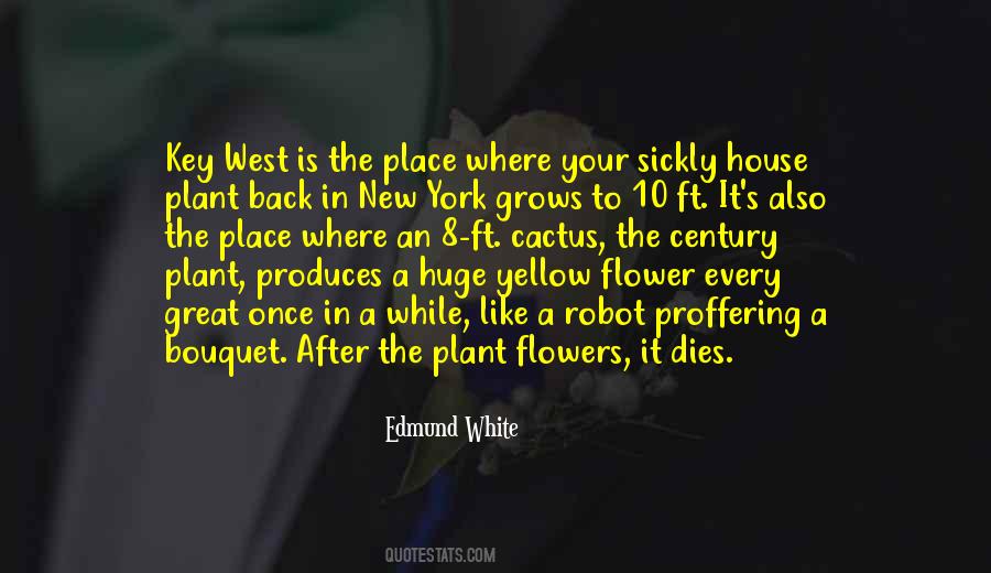Yellow House Quotes #1879374