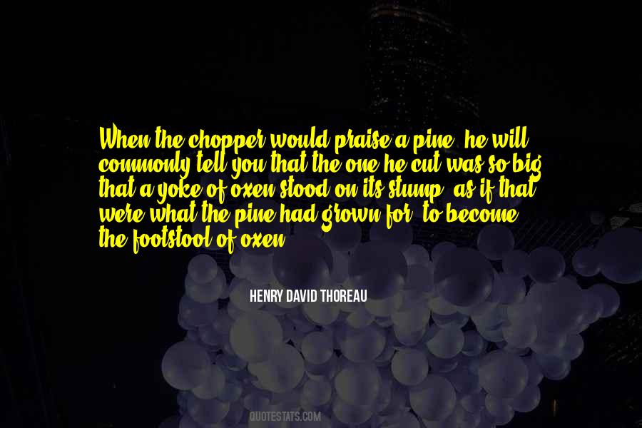 Dingoes Life Quotes #1166804