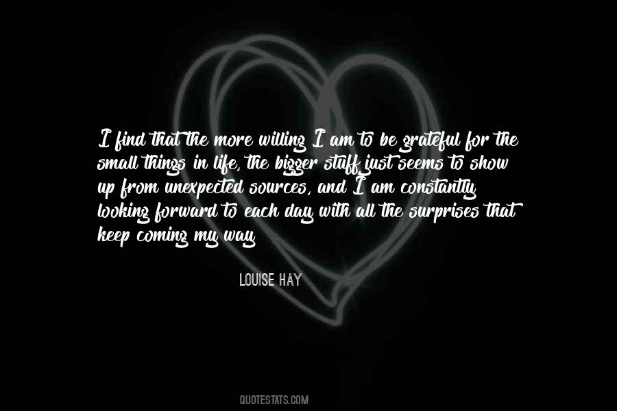 Quotes About The Small Things In Life #347698