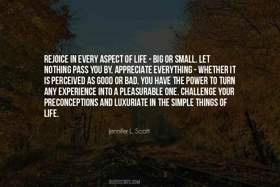 Quotes About The Small Things In Life #389752