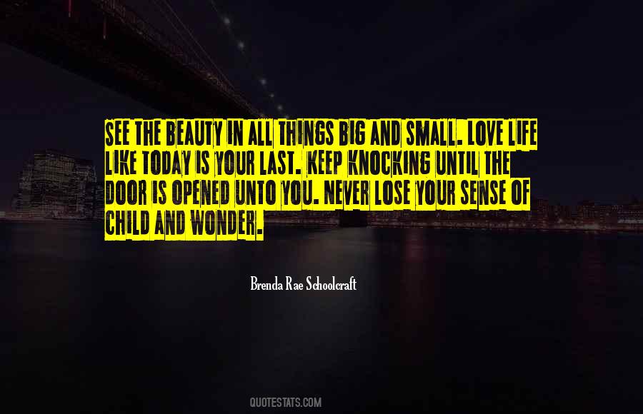 Quotes About The Small Things In Life #967985