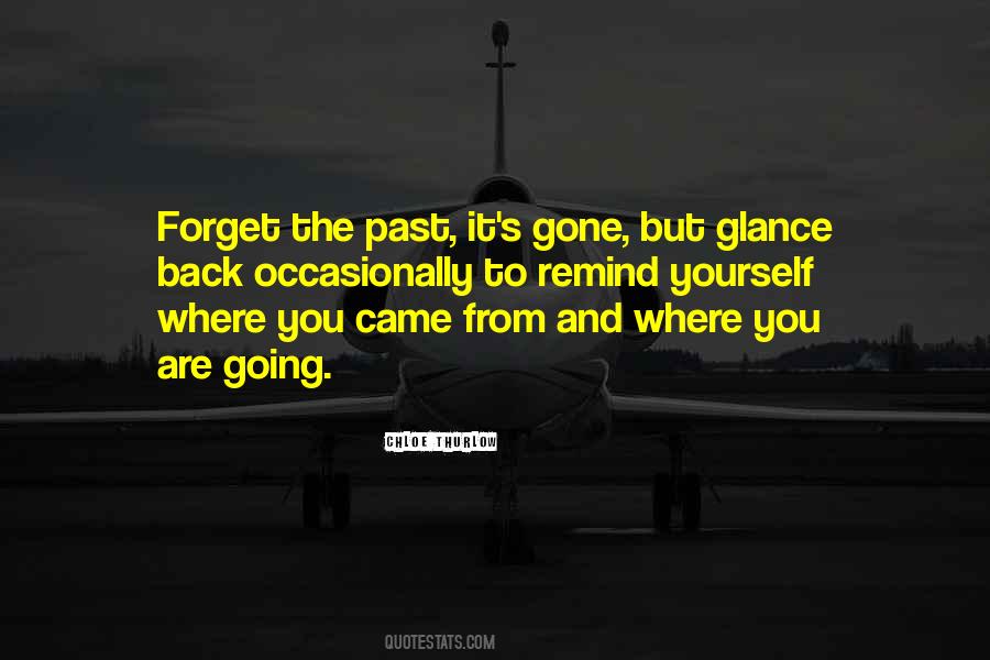 Quotes About Looking Back At The Past #60216