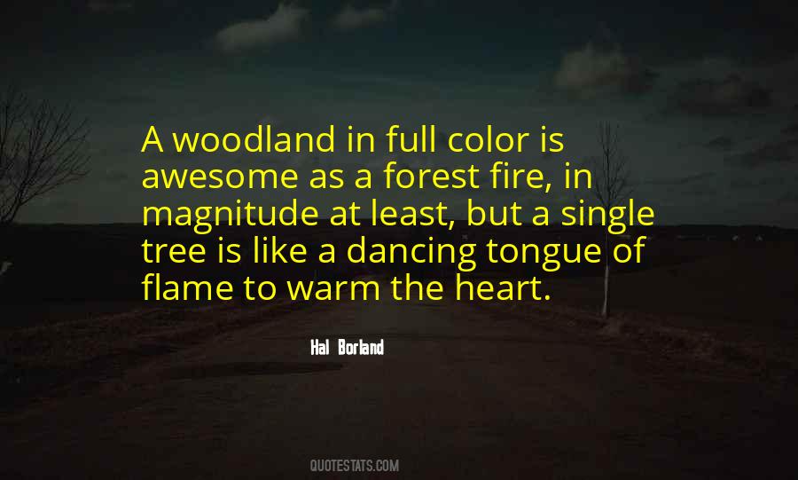 Quotes About A Warm Fire #954689