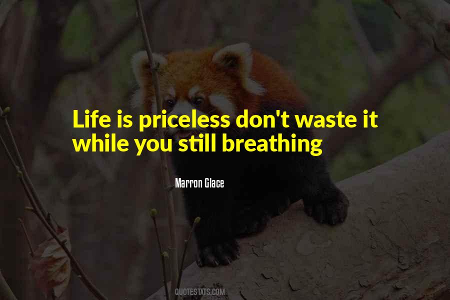 Quotes About Priceless #1397756