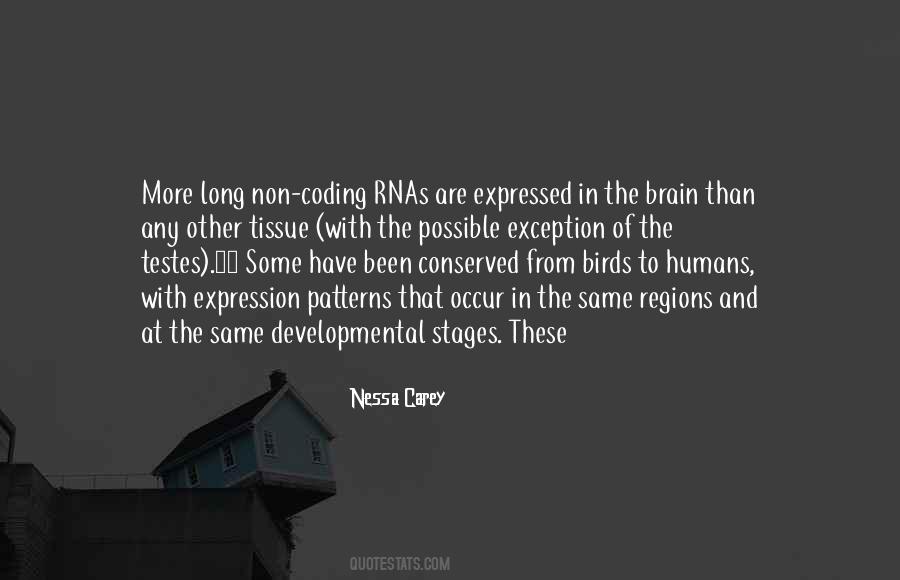 Quotes About Testes #437419