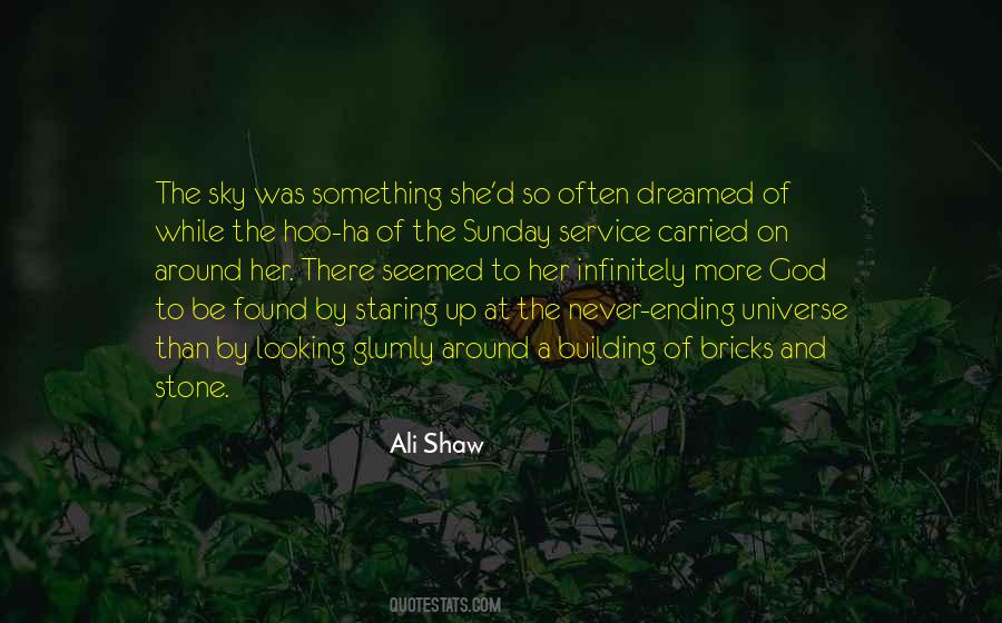 Quotes About Looking Up To The Sky #140223