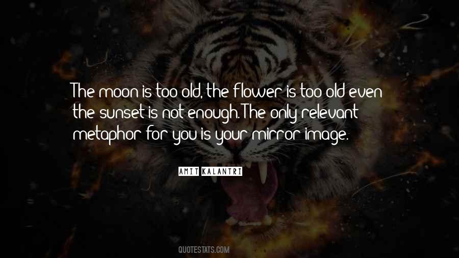 Quotes About Too Old #1148078