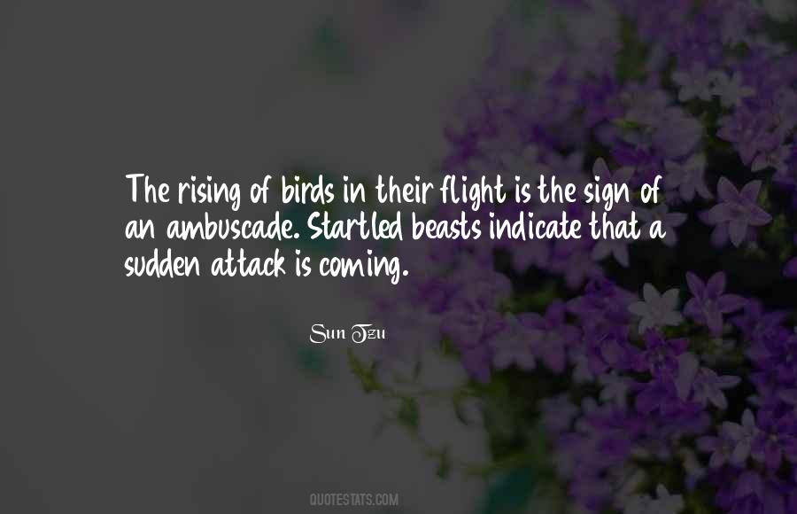 Quotes About Birds In Flight #1279089