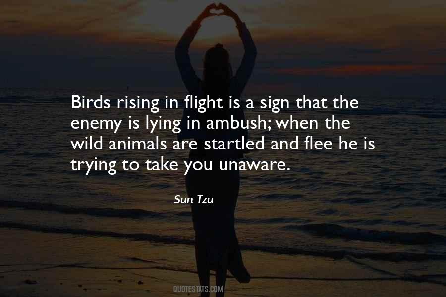 Quotes About Birds In Flight #1442629