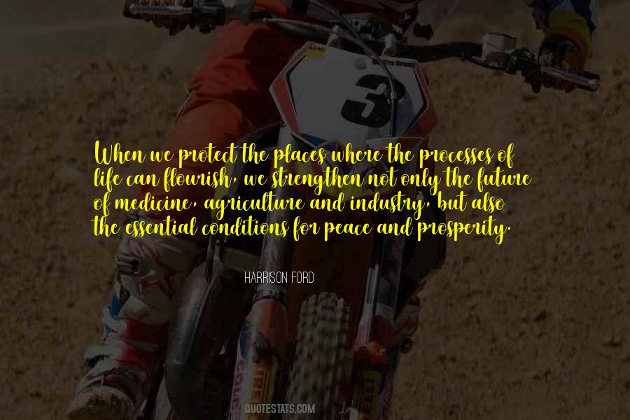 Peace And Prosperity Quotes #1712463