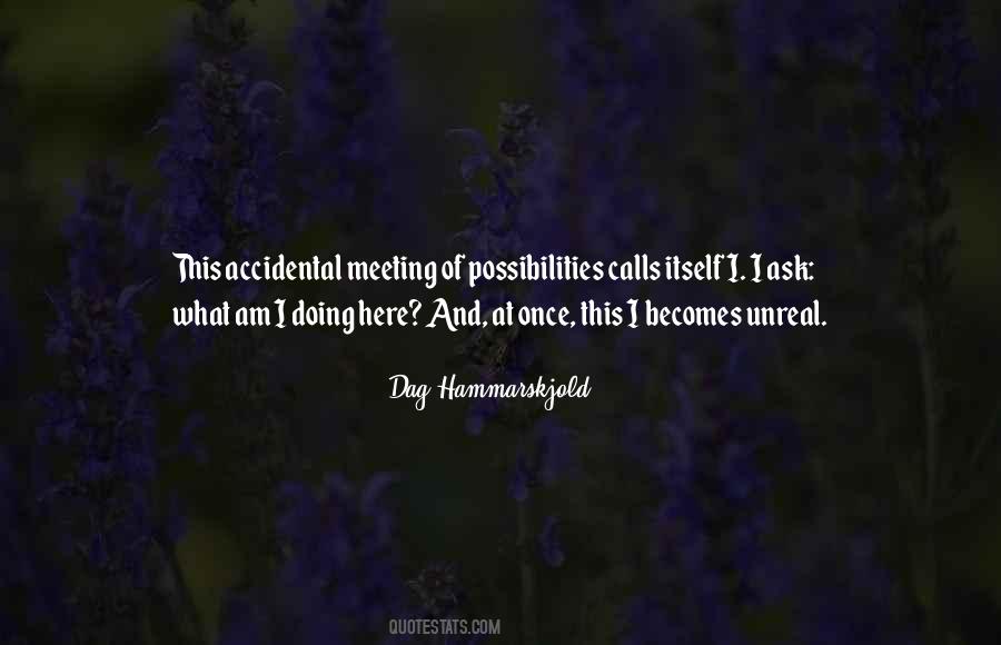 Quotes About Accidental Meetings #315542