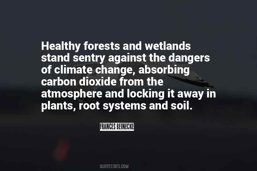 Quotes About Carbon Dioxide #303795