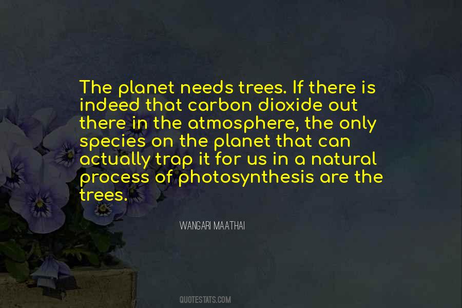 Quotes About Carbon Dioxide #946296