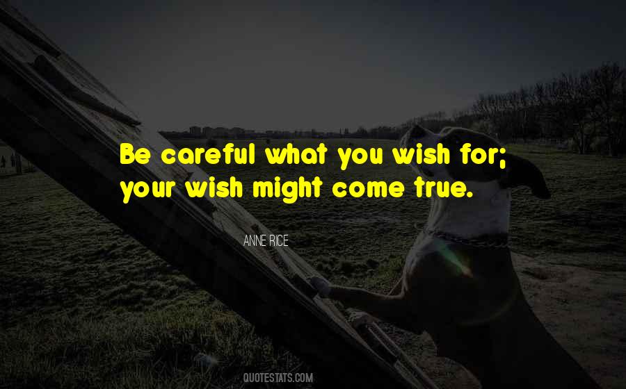 Quotes About Careful What You Wish For #871395