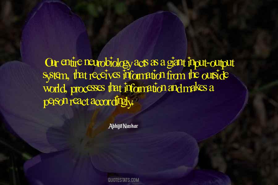 Input And Output Quotes #54449