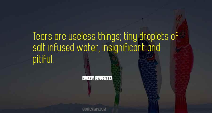 Quotes About Useless Things #1510341