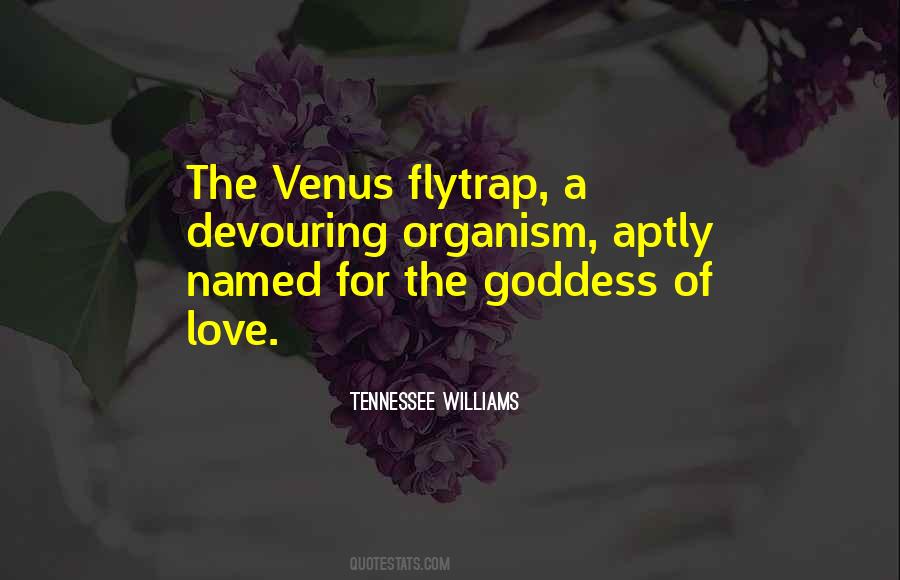 Goddess Of Love Quotes #17465