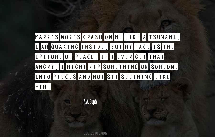 Quotes About Getting The Wrong Idea #298301