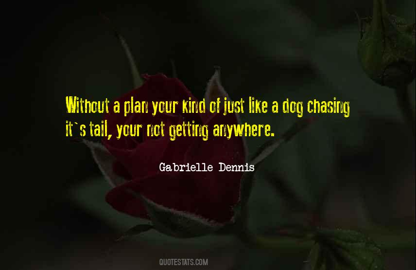 Not Chasing Quotes #732015