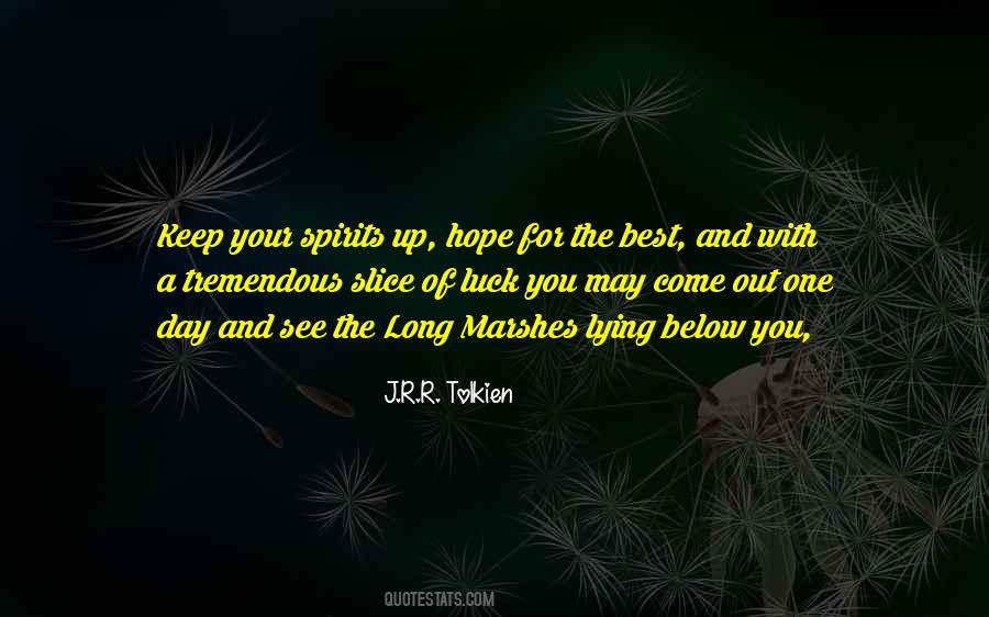 Quotes About Hope For The Best #974471