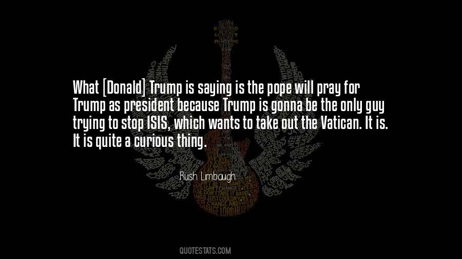 The Pope Quotes #1220156