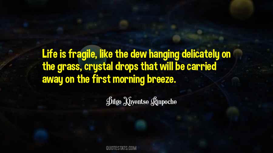 Quotes About Dew Drops #1399881