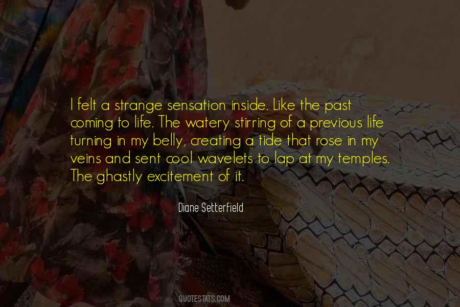 Excitement Of Life Quotes #1091332
