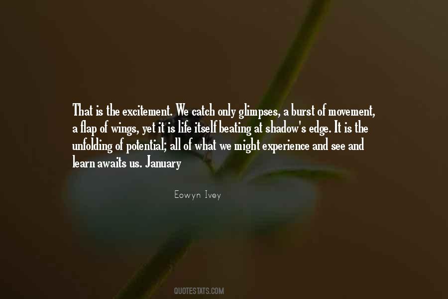 Excitement Of Life Quotes #1563701