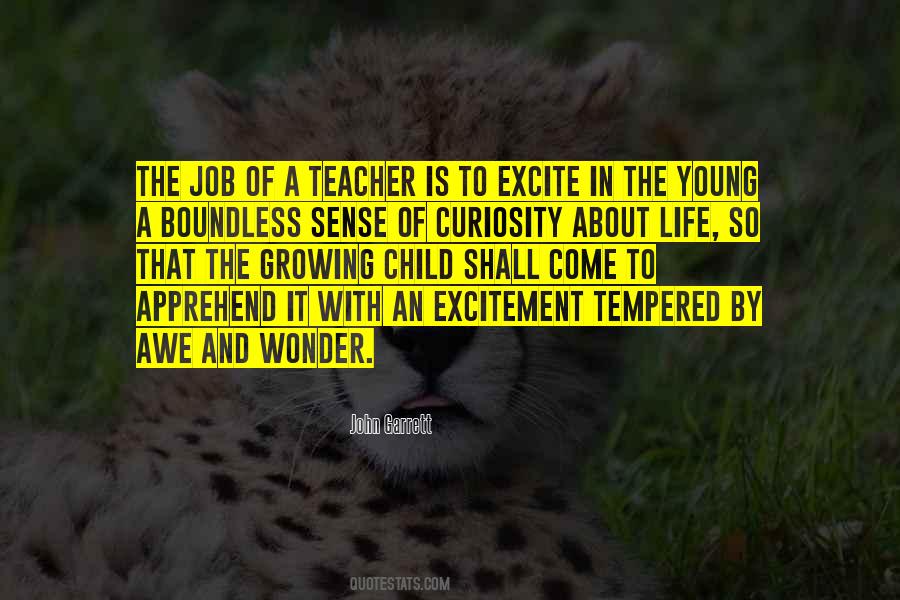 Excitement Of Life Quotes #649516
