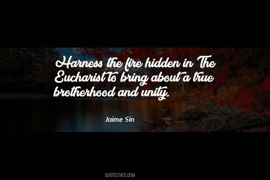 Quotes About Unity And Brotherhood #1429910