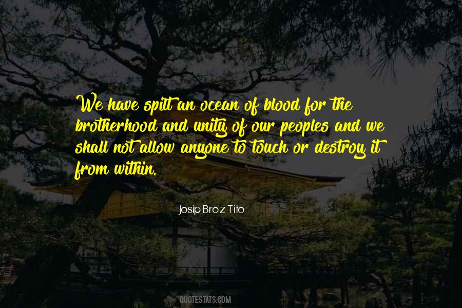 Quotes About Unity And Brotherhood #788777