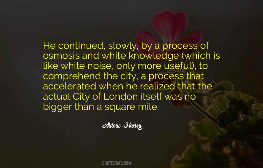 Quotes About White Noise #1084674