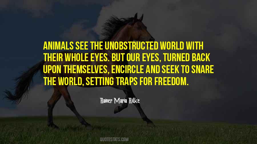Quotes About Freedom For Animals #1314059